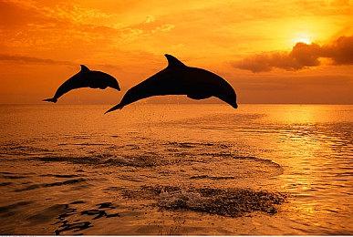 目标是成为第十三位生肖！肉鸽动作游戏《13Z》公开Steam商店页