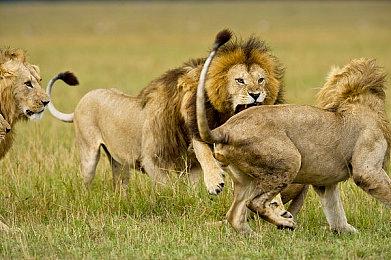 另类《狙击精英》射击复仇游戏《太阳之子》公布